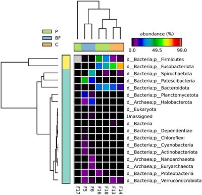 Melodious tuning of microbial dynamics in biofloc, cage, and pond culturing system: a study on Pangasius pangasius fish gut microbiome